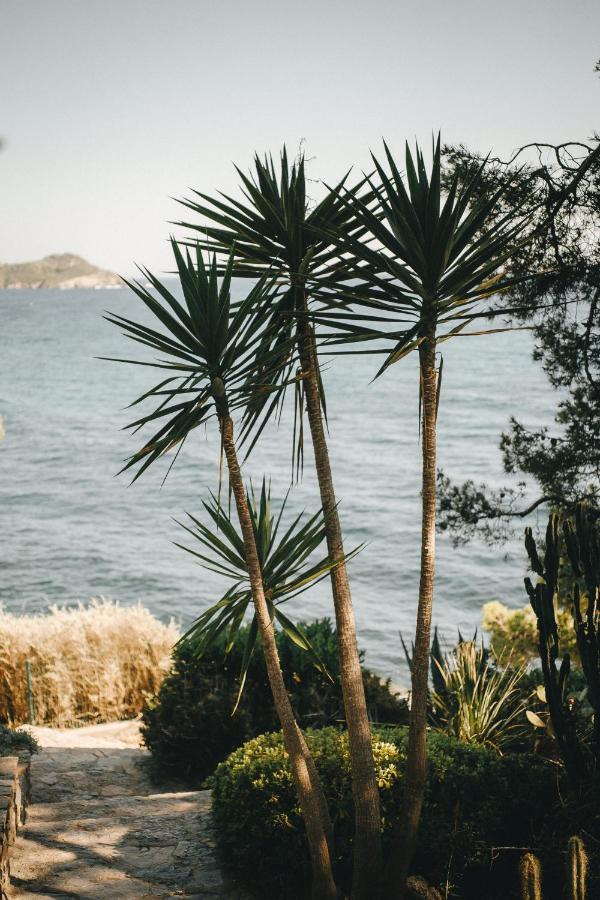 Hotel Hotel Le Provencal Renove En 2025 - Bord De Mer 3*