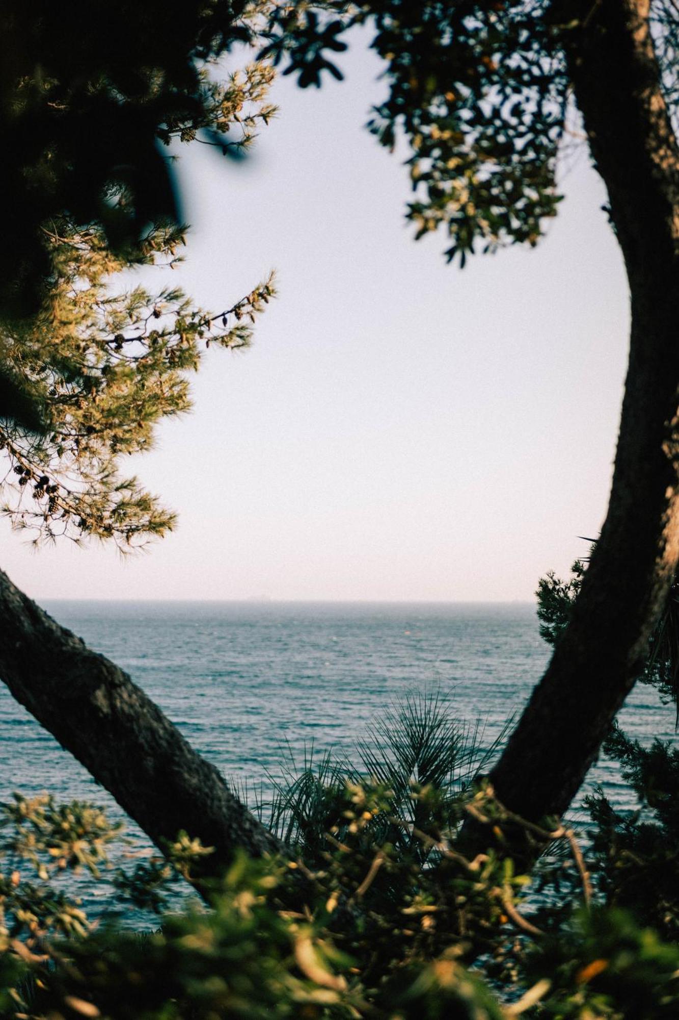 Hotel Le Provencal Renove En 2025 - Bord De Mer Hotel