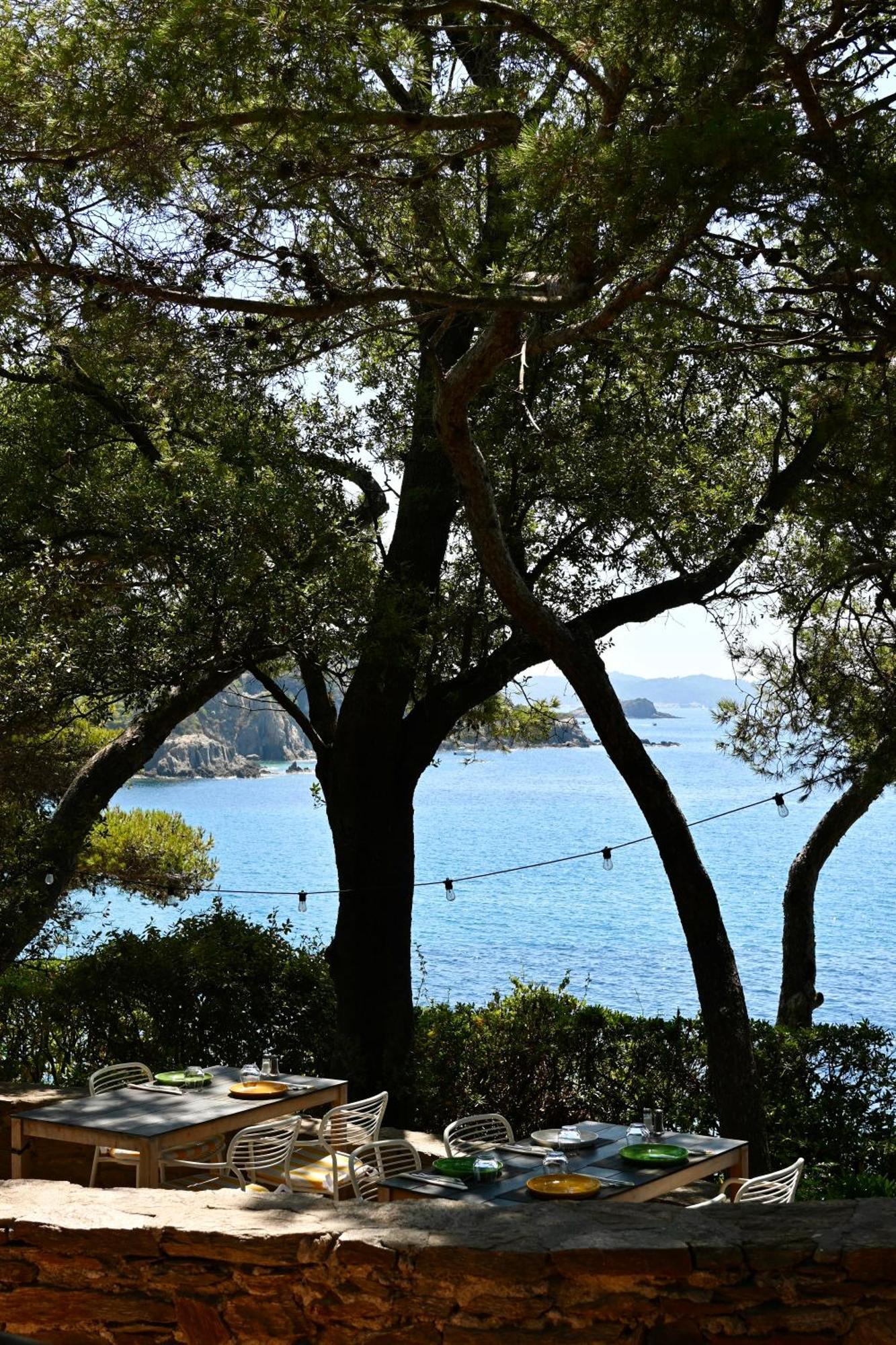 Hotel Hotel Le Provencal Renove En 2025 - Bord De Mer Hyères
