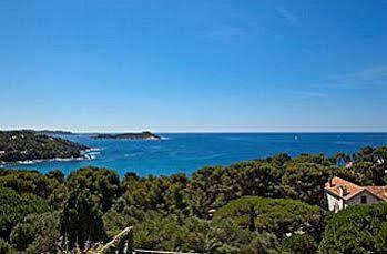 Hotel Le Provencal Renove En 2025 - Bord De Mer Hotel Hyères